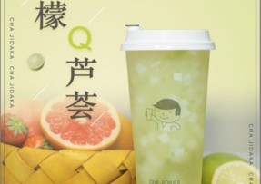 爱游戏：柠檬芦荟